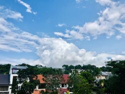 springwood photo thumbnail #19